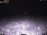 ohio hunting
