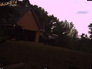 Live Deer Cams