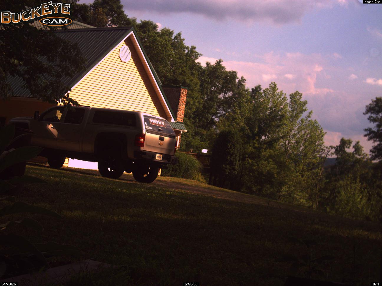 Feeder deer cam livecam